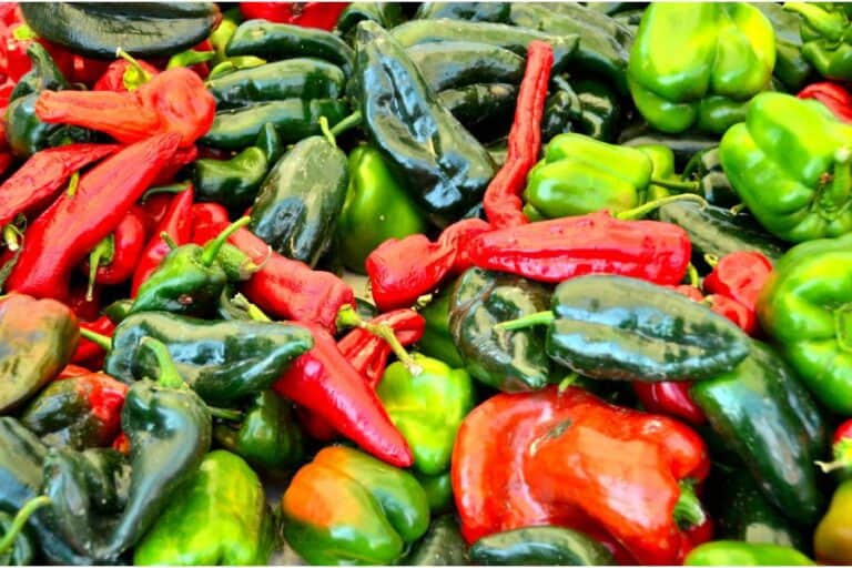 Can Chickens Eat Peppers? Benefits & How to Feed