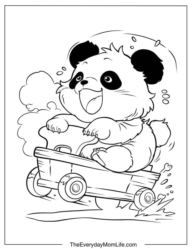 Baby Panda Driving a Car