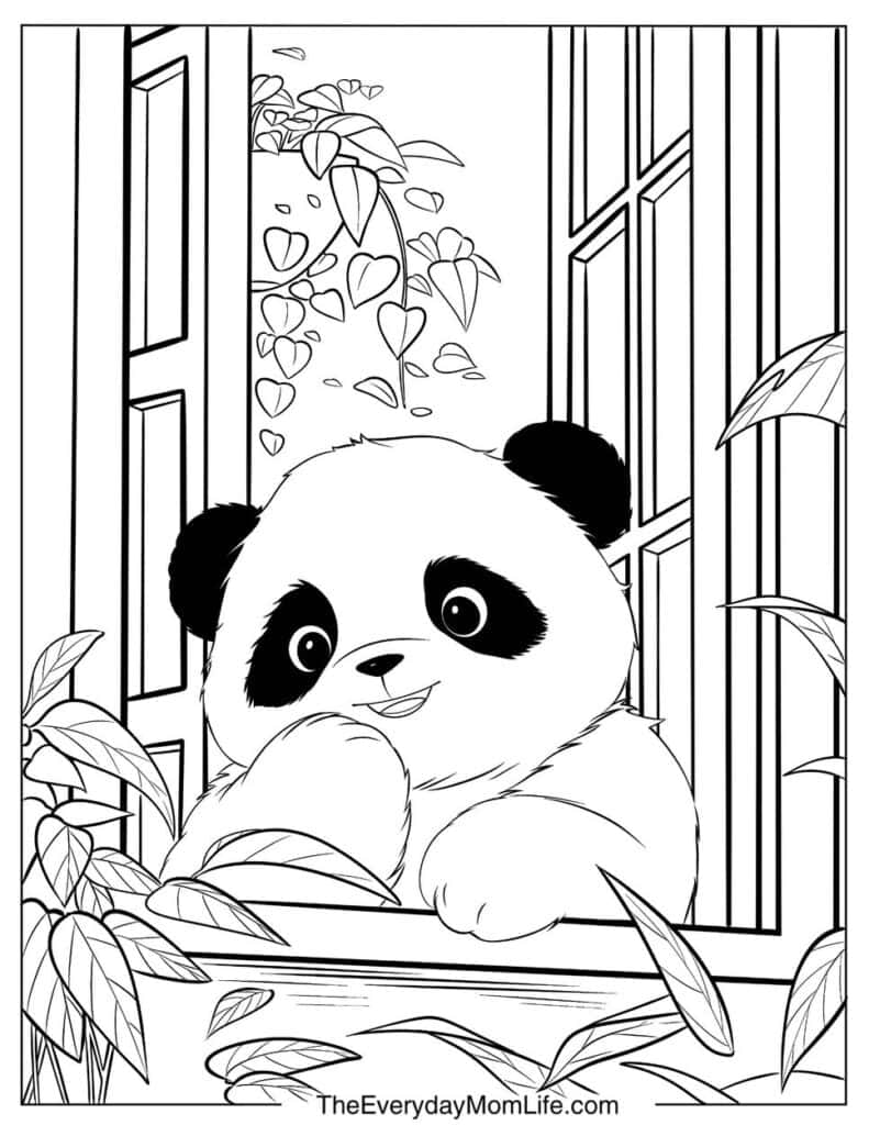 Baby Panda by the Window Sill