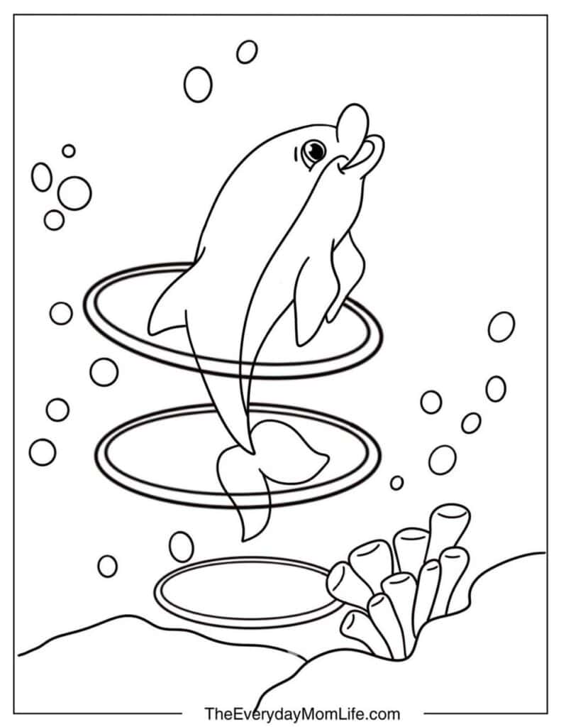 Easy Dolphin Coloring Page