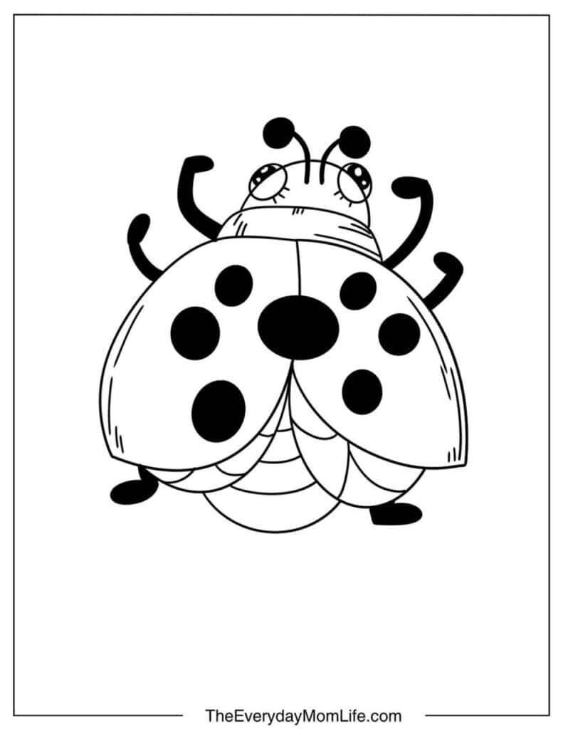 Easy Ladybug Coloring Page