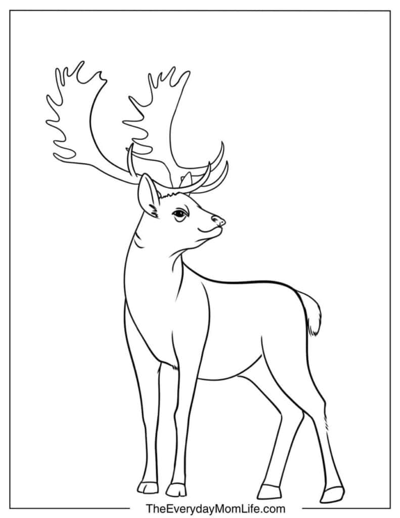 Easy Moose Coloring Page