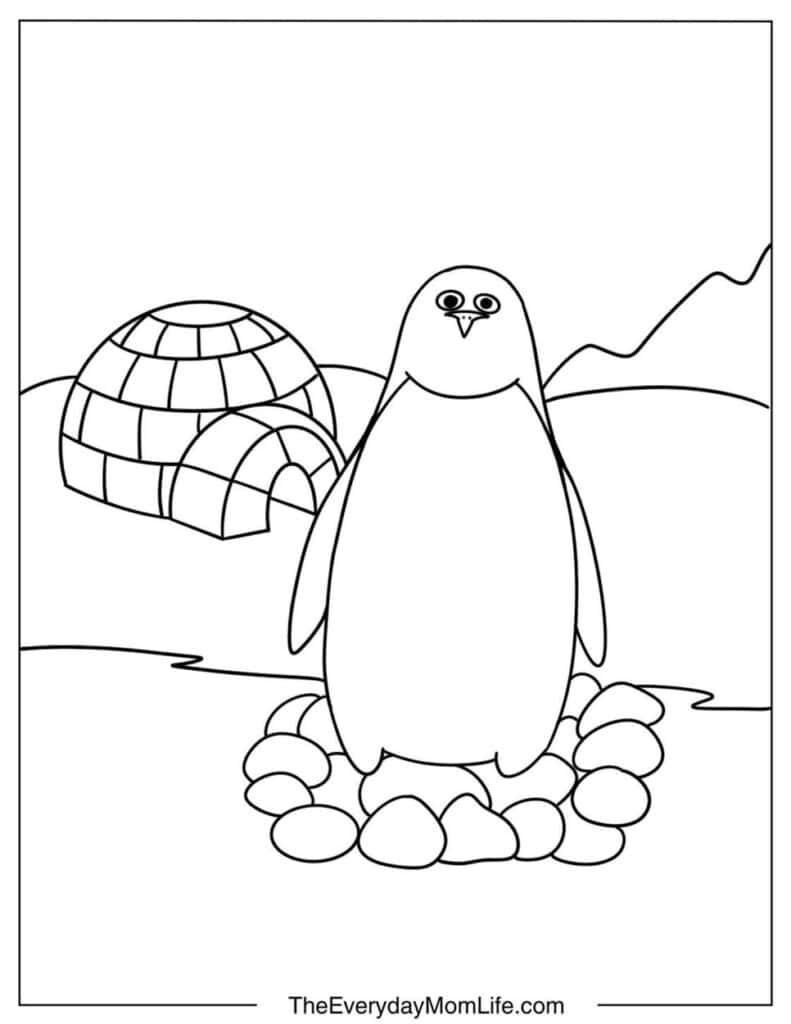 Emperor Penguin