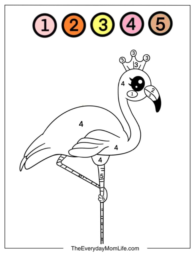 Flamingo Color by Number