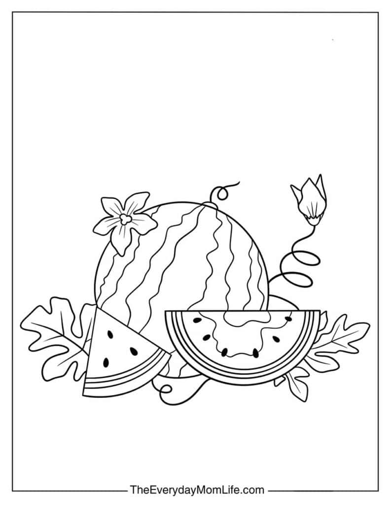 Floral Watermelon Line Drawing