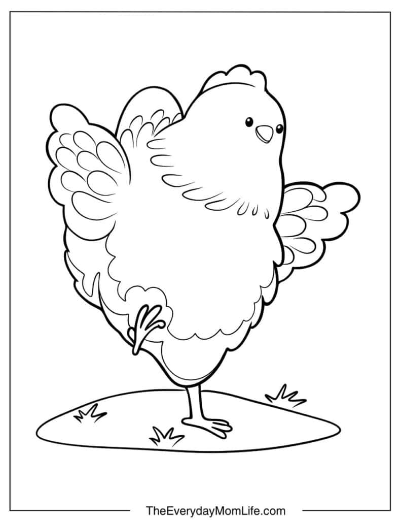 Hen Standing on One Leg