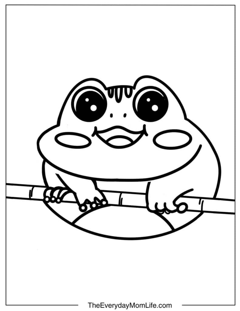 Kawaii Frog