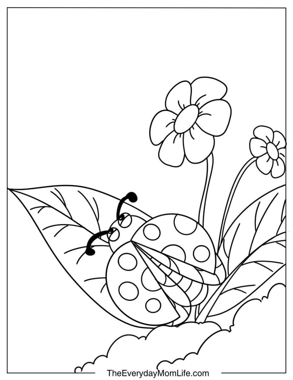 Ladybug Coloring Pages for Kids (Free PDF)