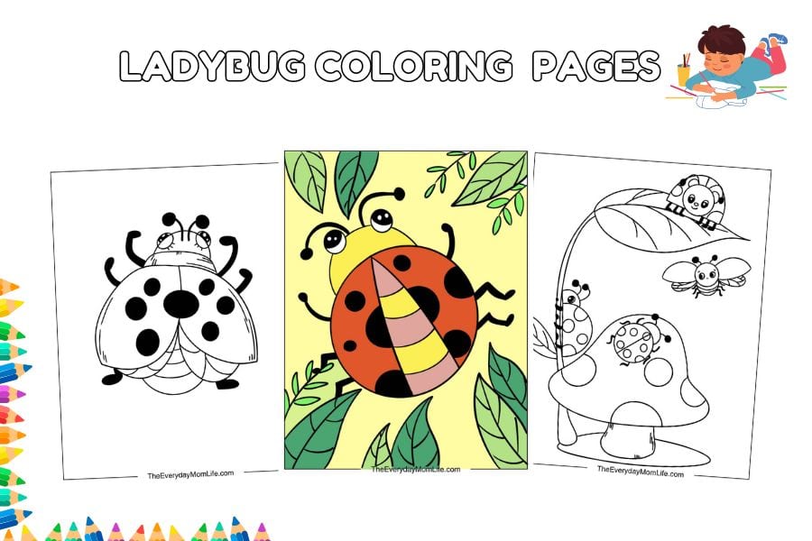 Ladybug Coloring Pages