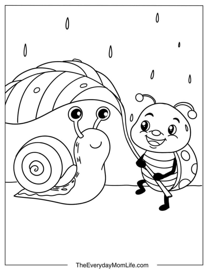 Ladybug Sheltering Snail from Rain