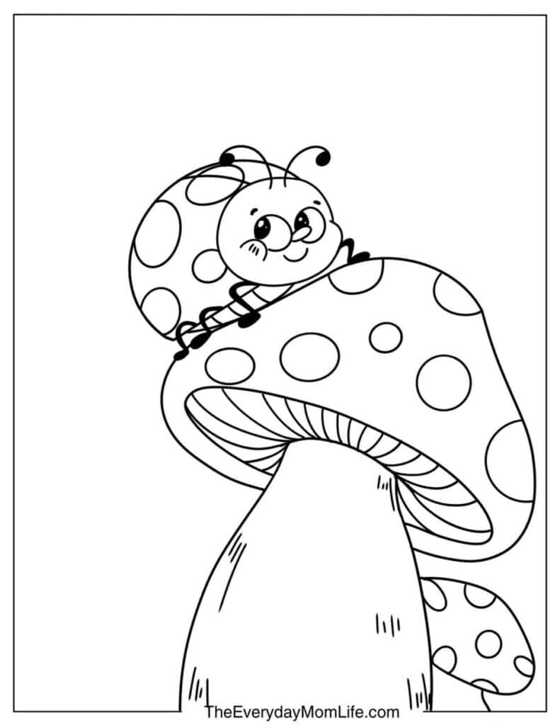 Ladybug and the Mushroom