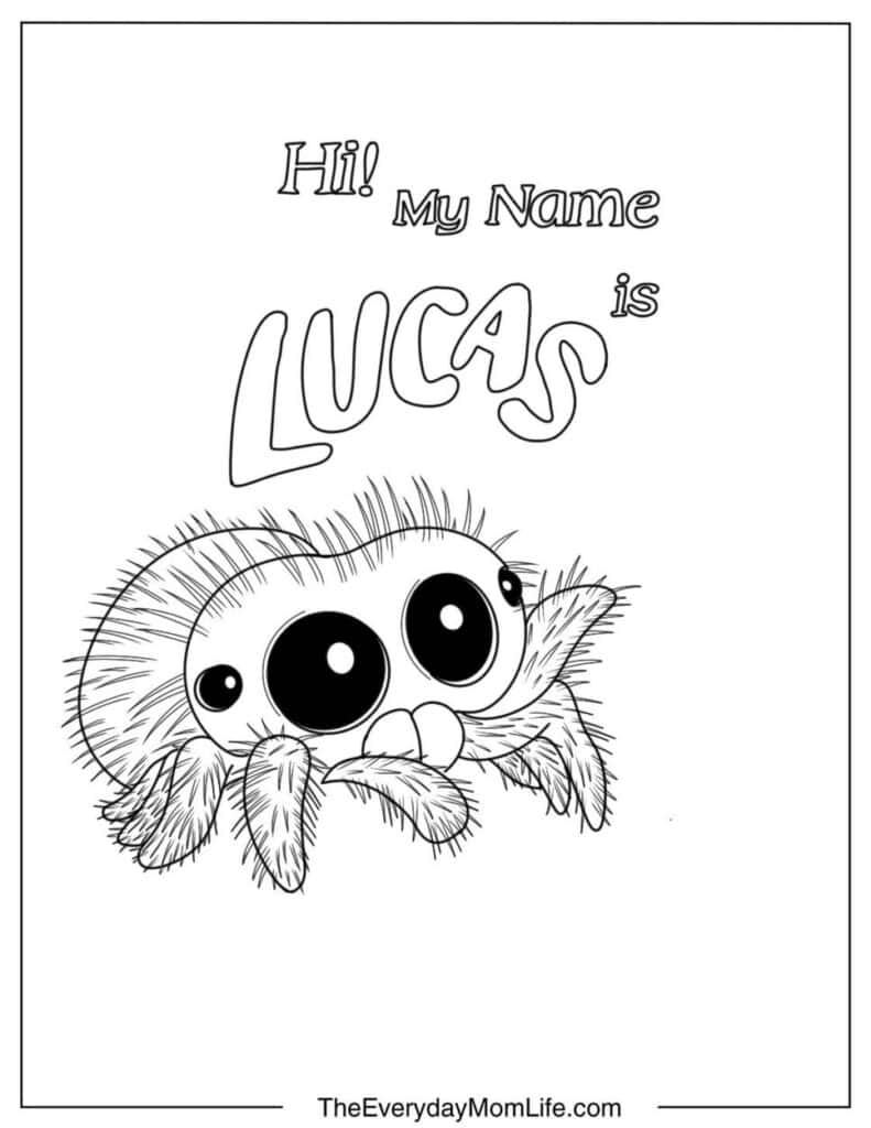 Lucas the Spider