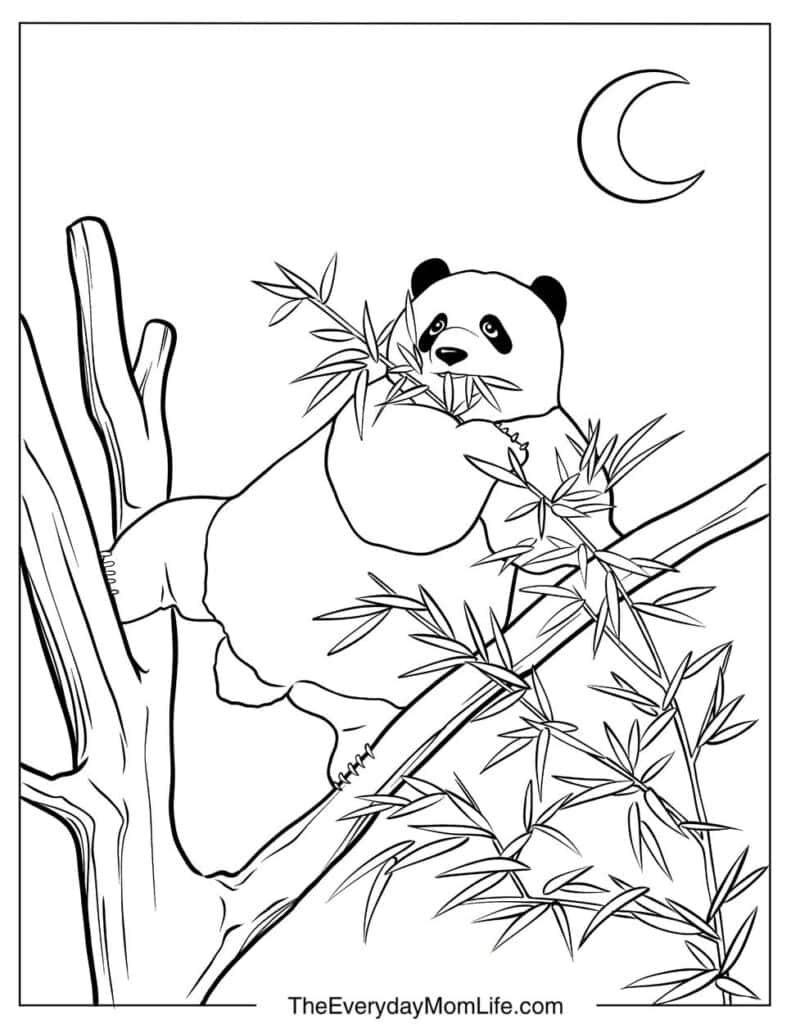 Panda Eating Bamboo in a Tree