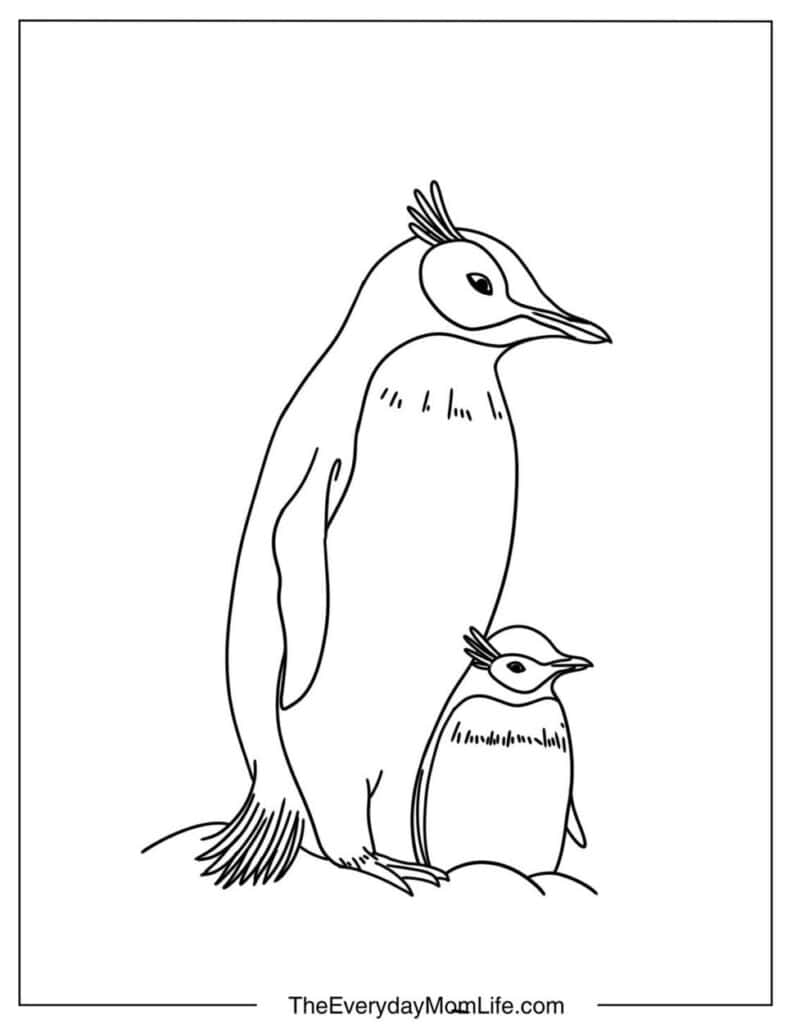 Penguin Dad and Baby