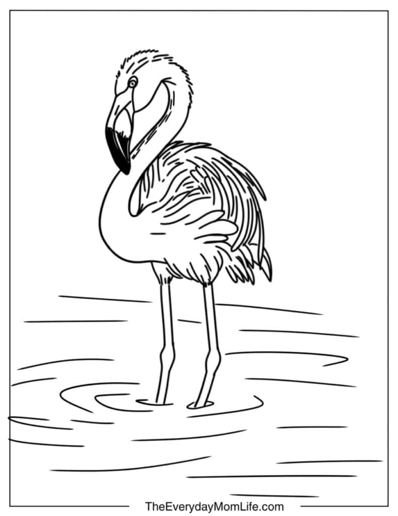 Realistic Flamingo