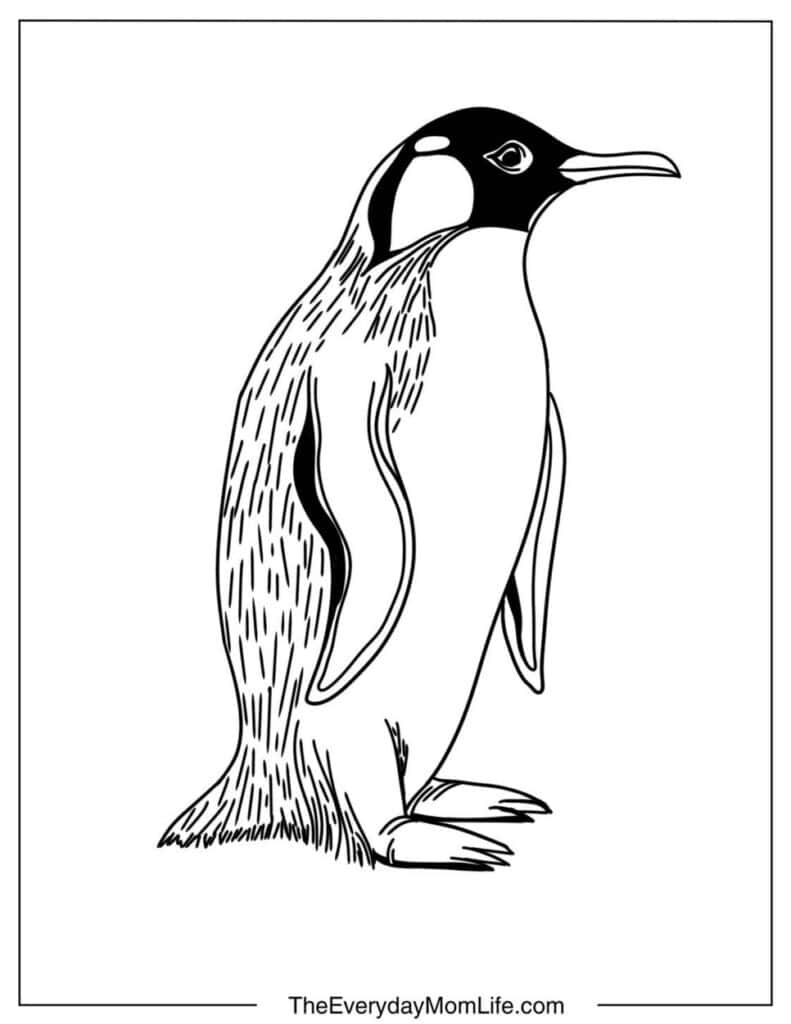 Realistic Penguin