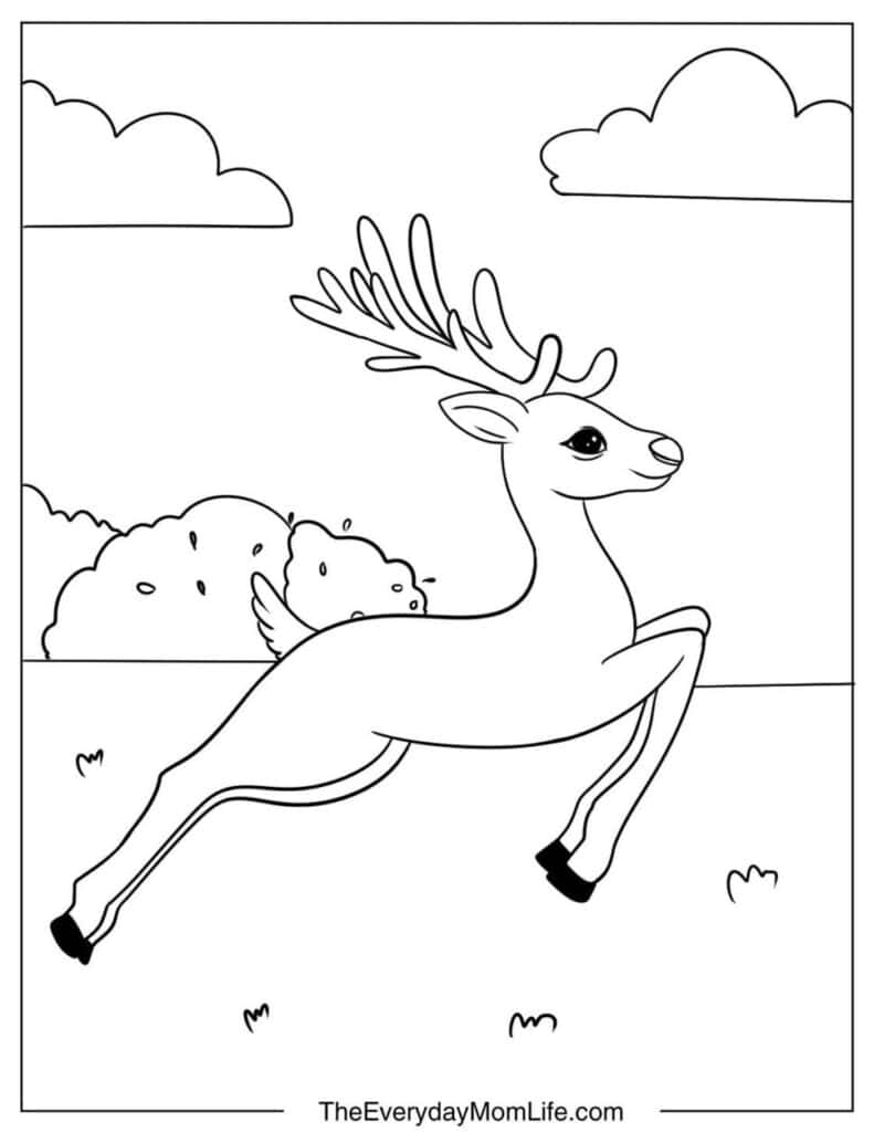 Running Moose