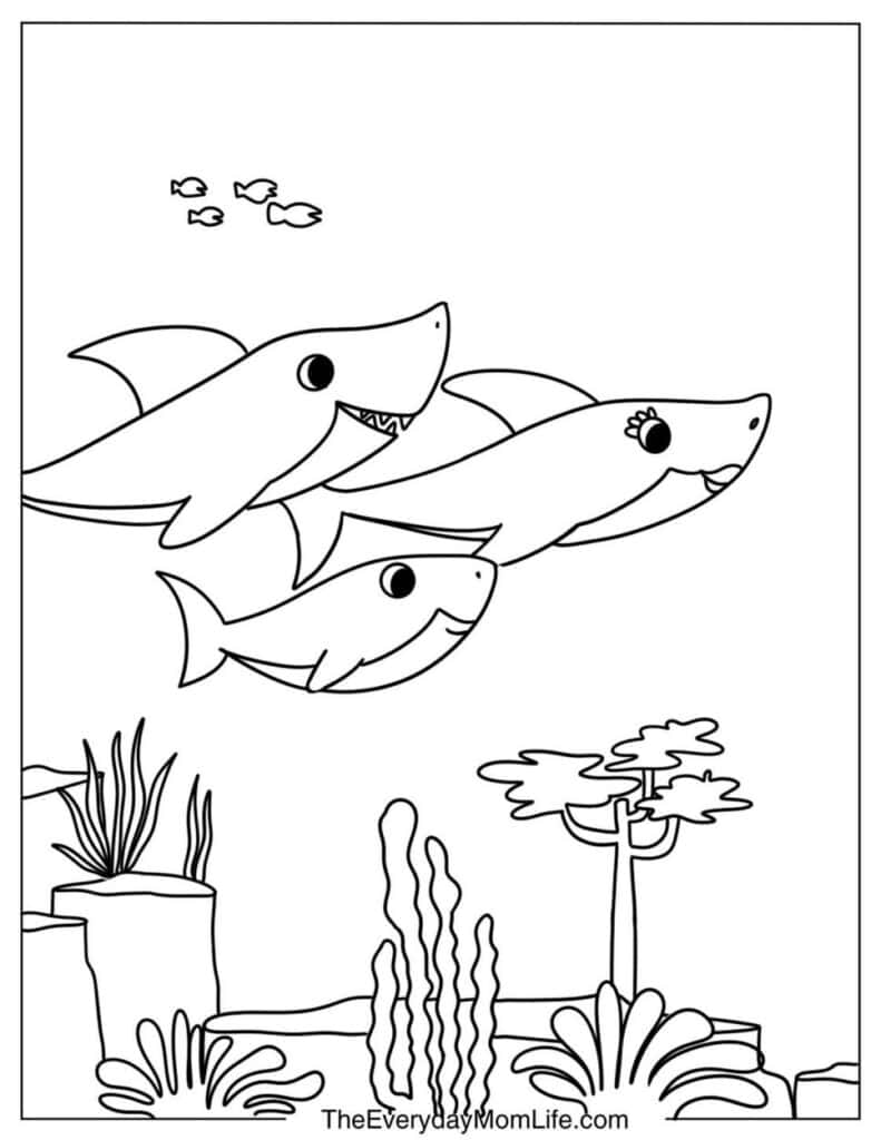 Shark Family