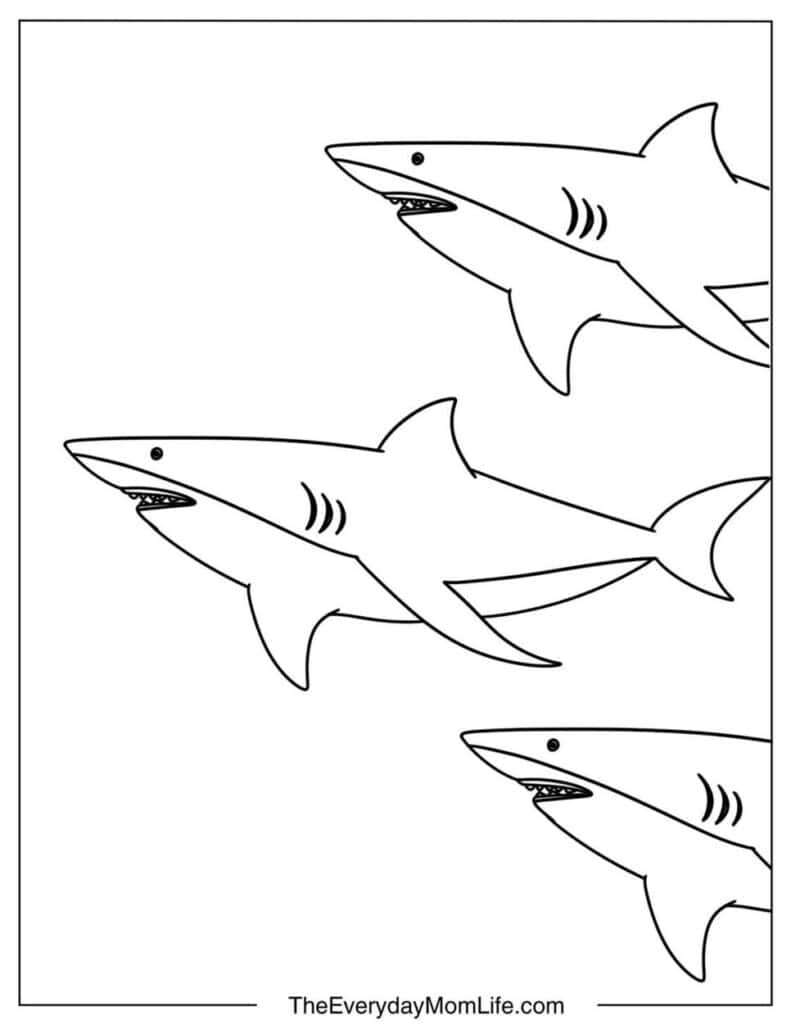 Shark Group