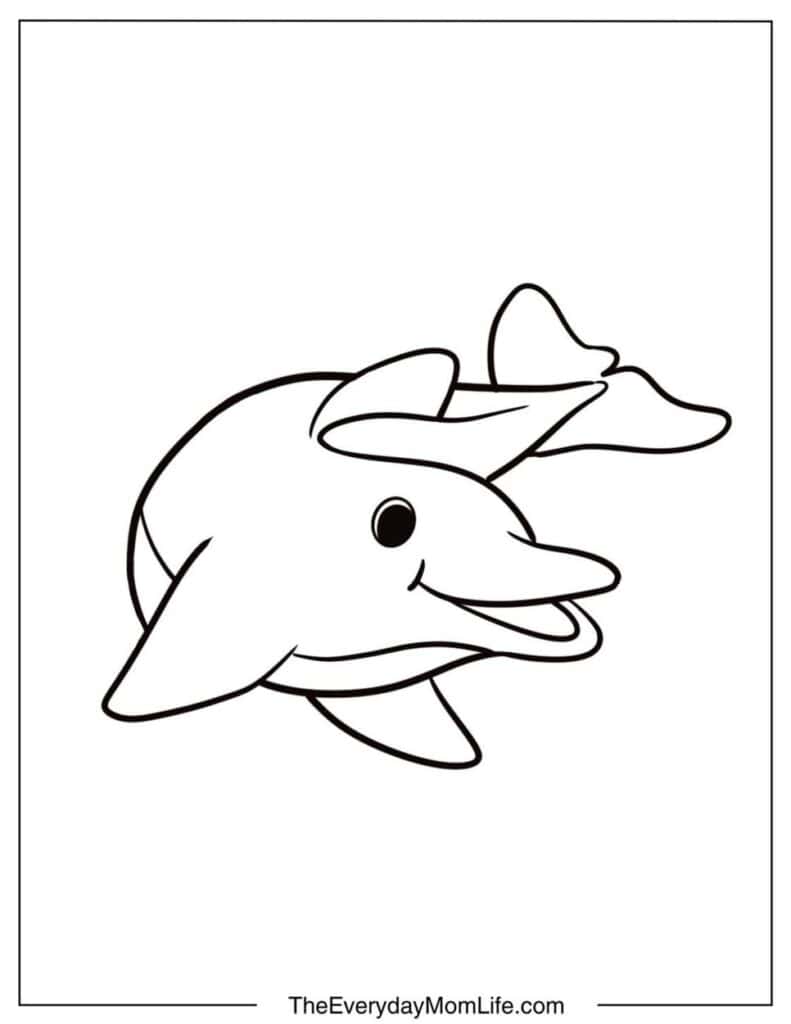 Simple Dolphin to Color