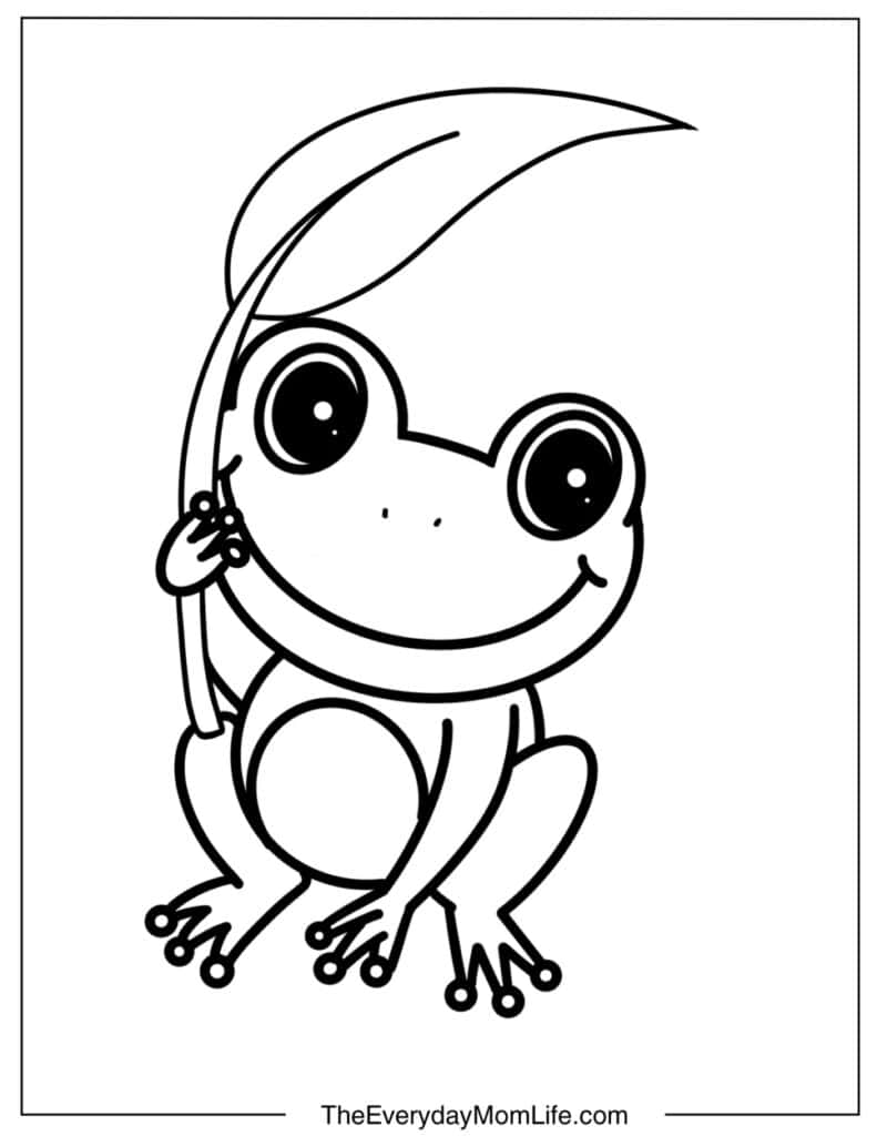 Simple Frog Drawing