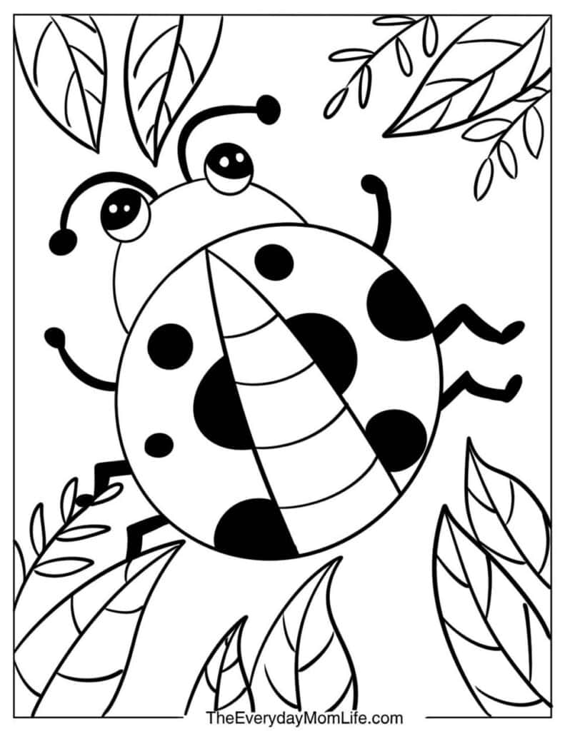 Simple Ladybug Coloring Page for Kids