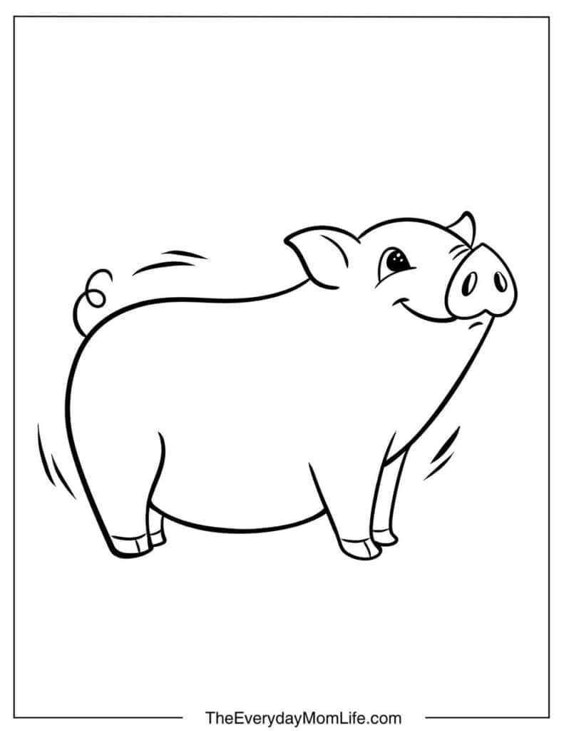 Simple Pig Coloring Page