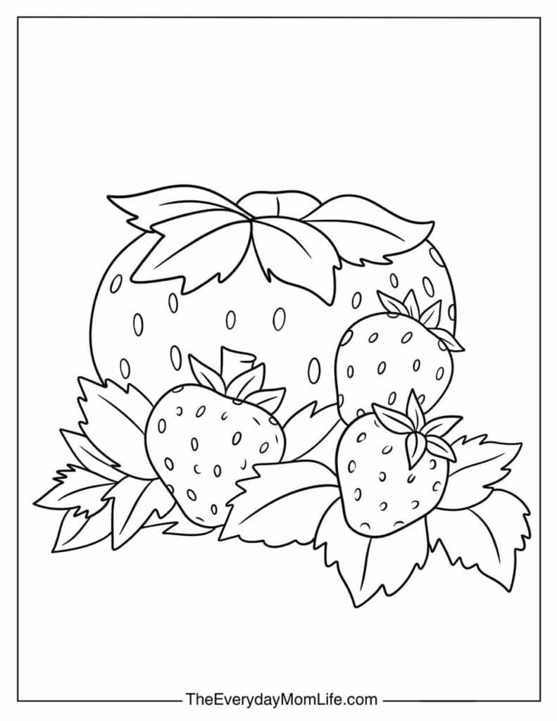 Simple Strawberry Coloring Page for Kids