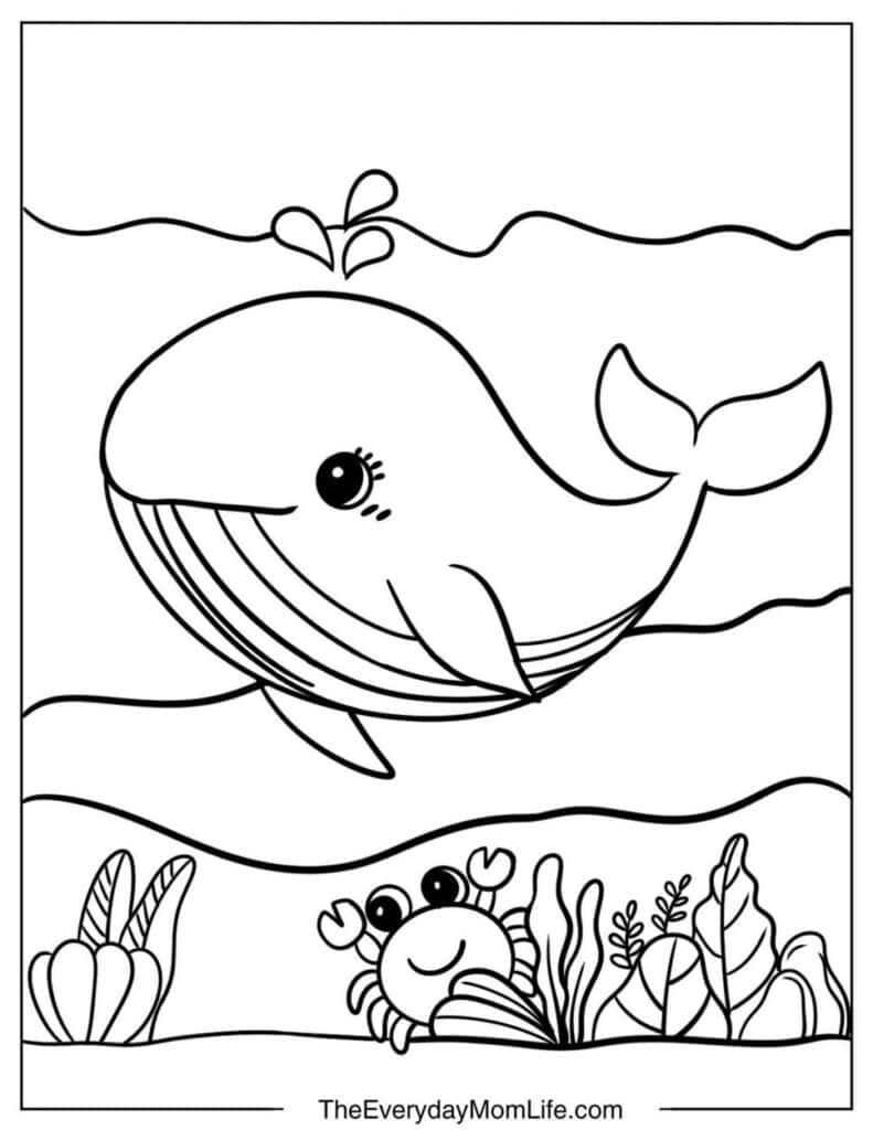 Simple Whale Coloring Page for Kids