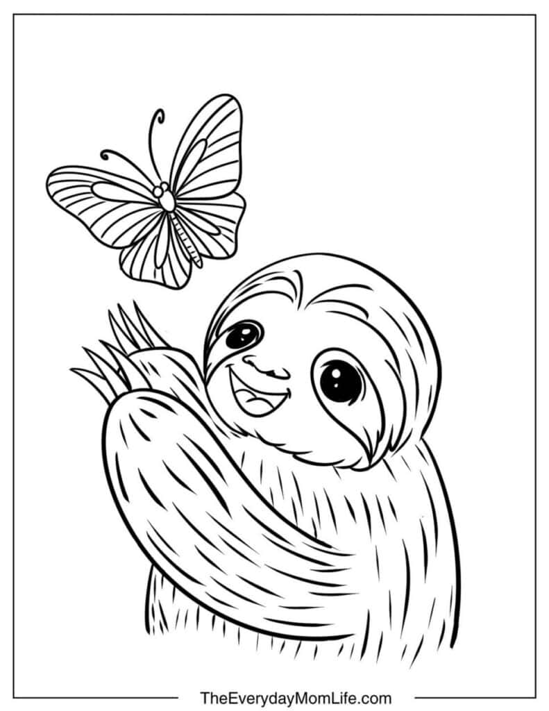 Sloth Playing with a Butterfly