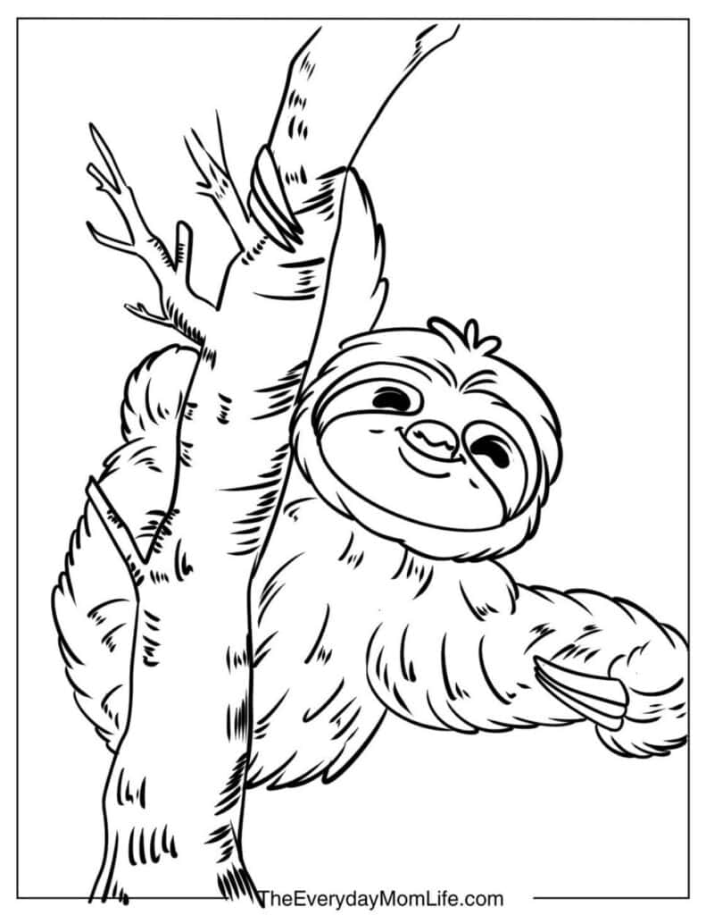 Sloth on a Tree