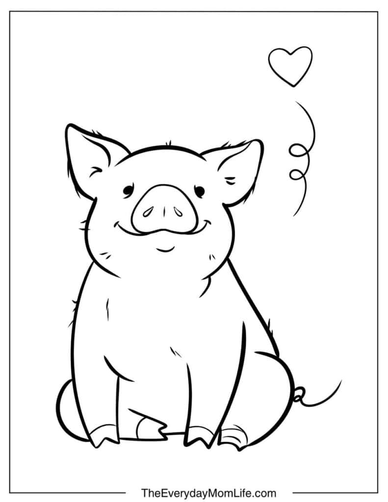 Smiling Pig