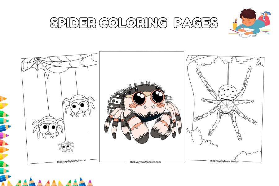 Spider Coloring Pages