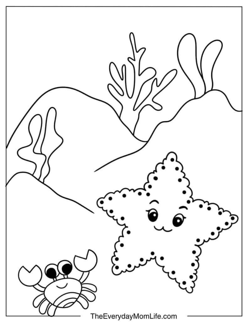 Starfish and Crab