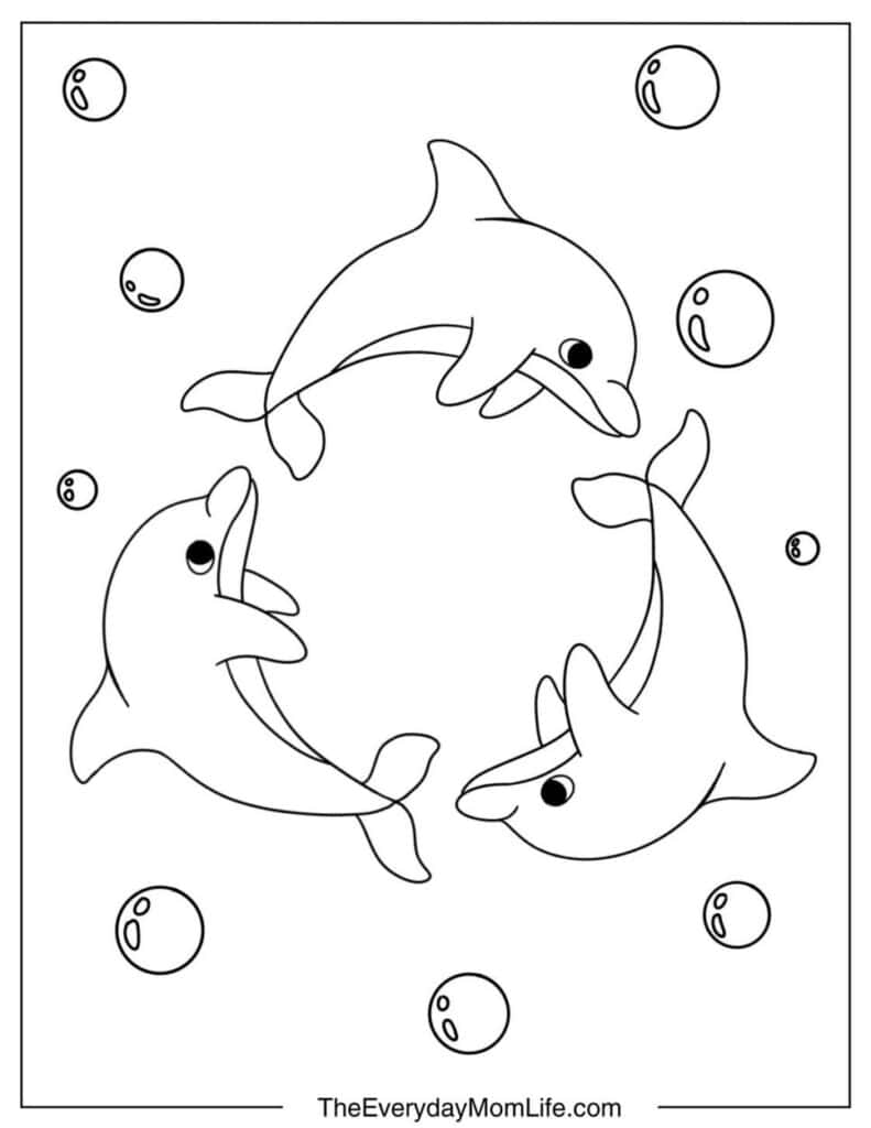 Three Dolphins Playing