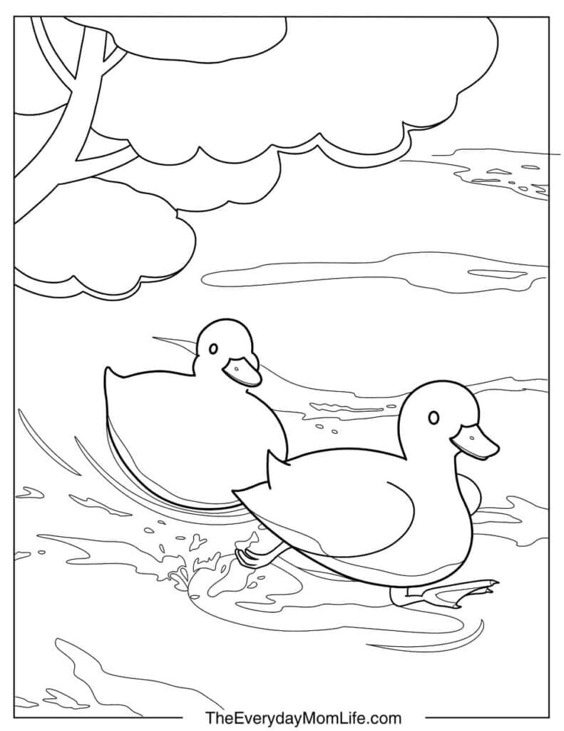 Two Ducks Playing in the Water Under a Tree