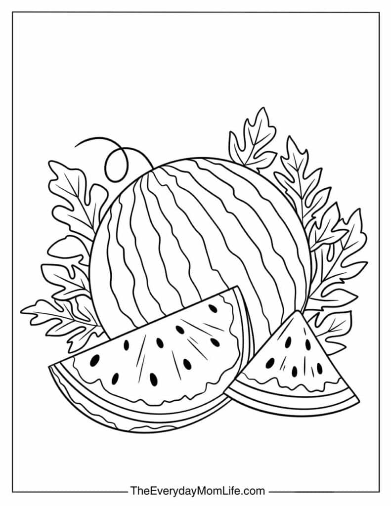 Watermelon and Leaves Coloring Page