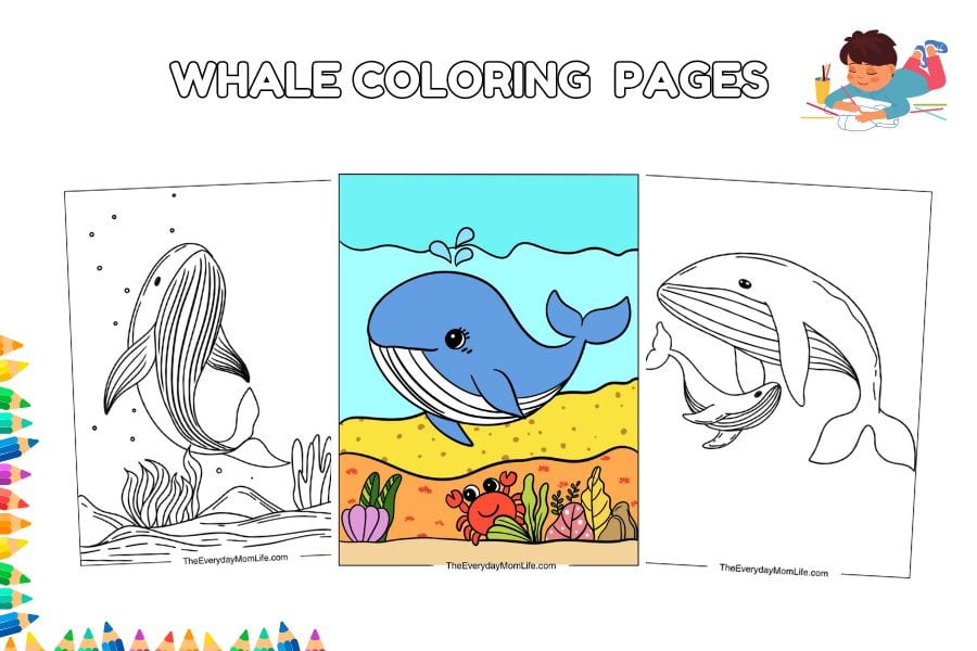 Whale Coloring Pages