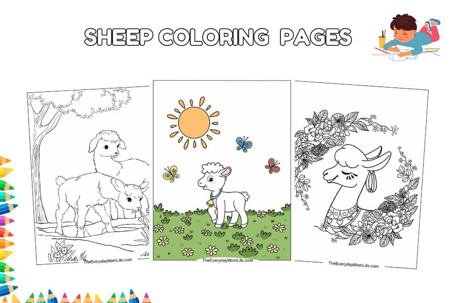 sheep coloring pages