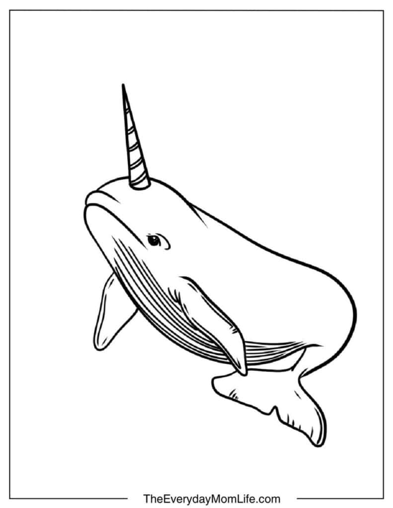 Unicorn Whale